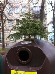Weihnachtsbaum - Bild Heijo Schlein